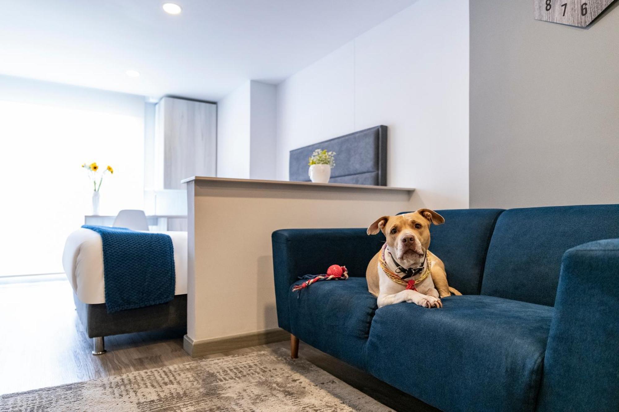Torre Ventto Lofts Lejlighed Bogotá Eksteriør billede